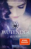 Wütender Sturm (Die Farben des Blutes 4)