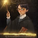 Potter Adventskalender