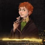 Potter Adventskalender