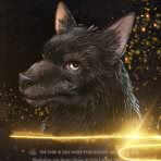 Potter Adventskalender