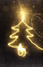 Potter Adventskalender