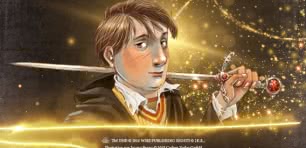 Potter Adventskalender